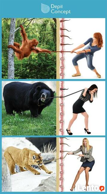 Grafik komputerowy (designer) - posty www, banery, wizytówki