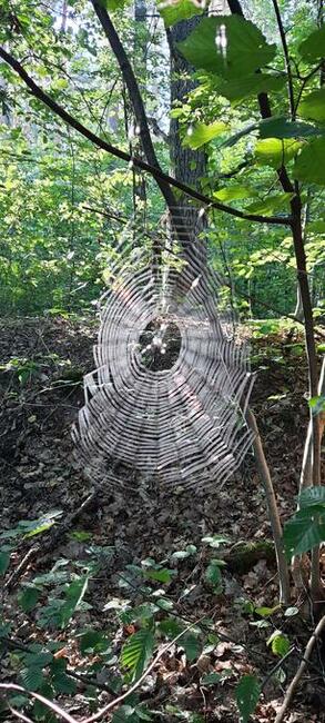 Poszukuje dziewczyny z podobnego środowiska