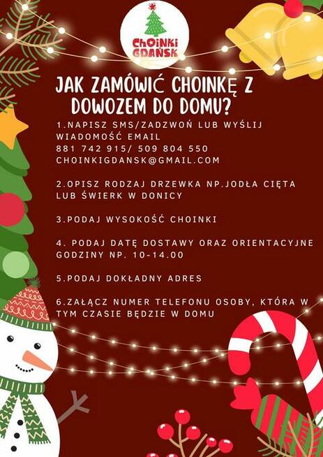 Choinki/Żywe/Trójmiasto/Pruszcz/Kowale/Darmowa/Dostawa