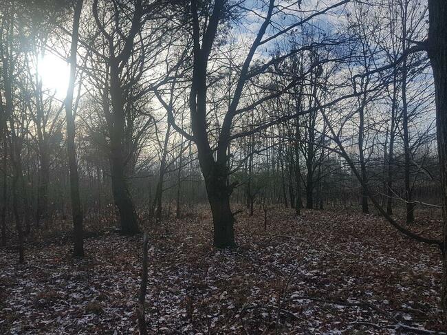 działka w Chotomowie 30 min od Warszawy