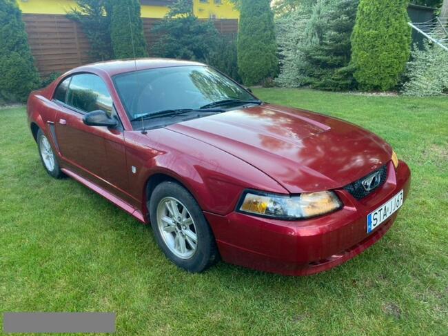 Ford Mustang Klima Stan Super LPG