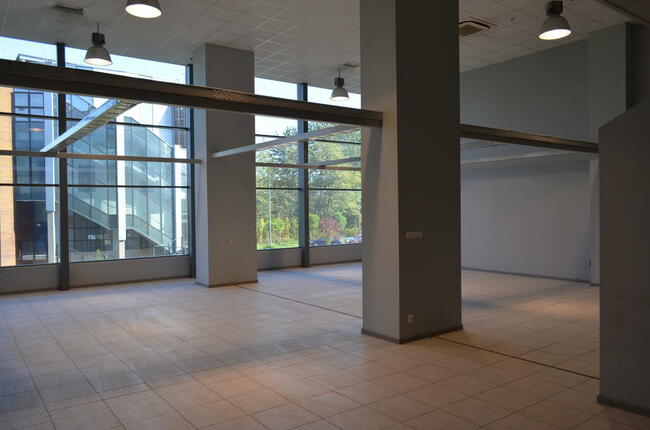5 zł netto/m2! Lokal do wynajęcia, biuro w SPNT - 190,42 m2