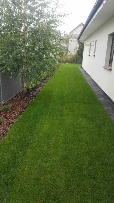 Usługi ogrodnicze, trawniki, nawadnianie, drenaże