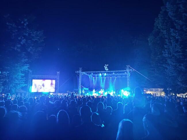 Agencja Ochrony Osób i Mienia Ochrona Imprez Masowych