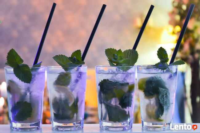 Drink bar Barniańka usłigi barmańkie barman