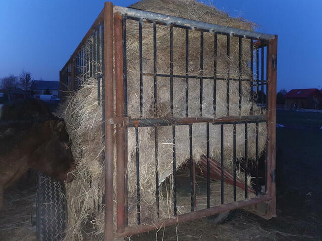 Mobilny paśnik, karmnik do koni, przyczepa do rejestracji