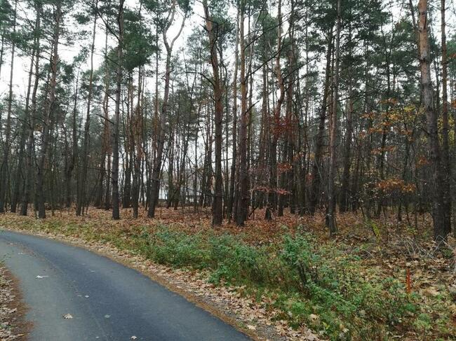 24 ary Rudna Mała/Głogów Małopolski -