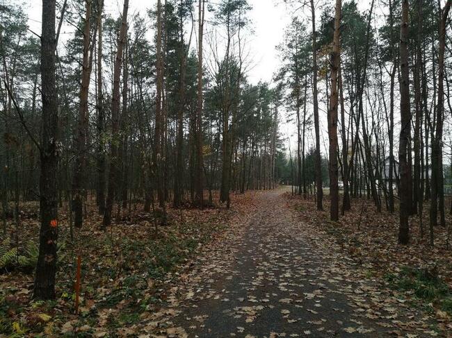 24 ary Rudna Mała/Głogów Małopolski -