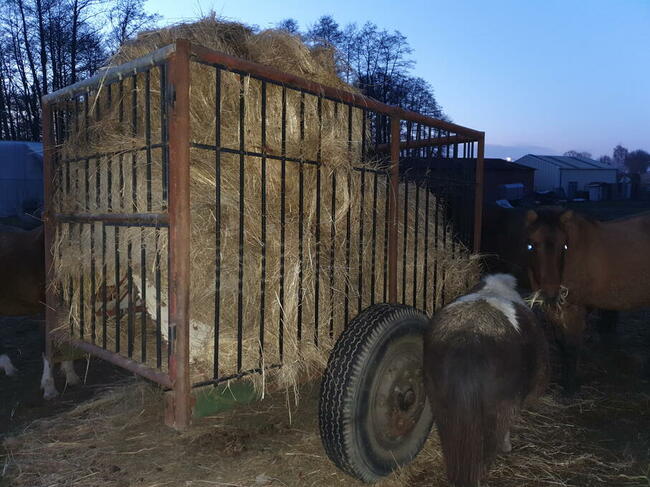 Mobilny paśnik, karmnik do koni, przyczepa do rejestracji