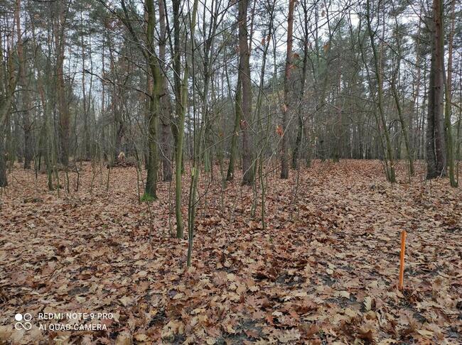 24 ary Rudna Mała/Głogów Małopolski -