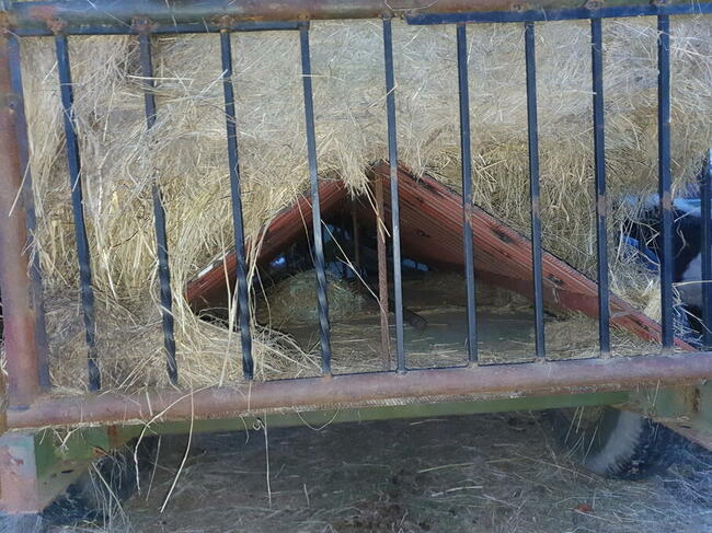 Mobilny paśnik, karmnik do koni, przyczepa do rejestracji