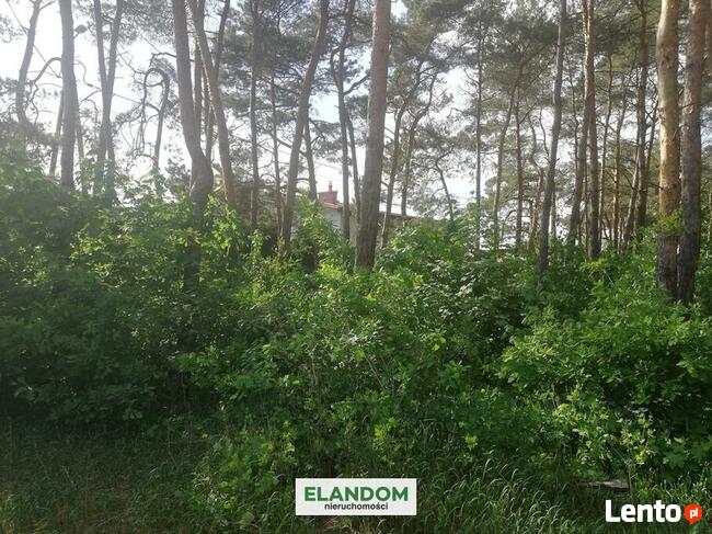 Działka z własnym lasem w Wawrze