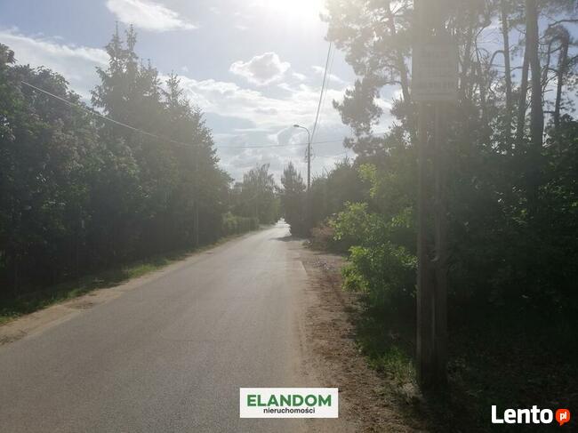 Działka z własnym lasem w Wawrze