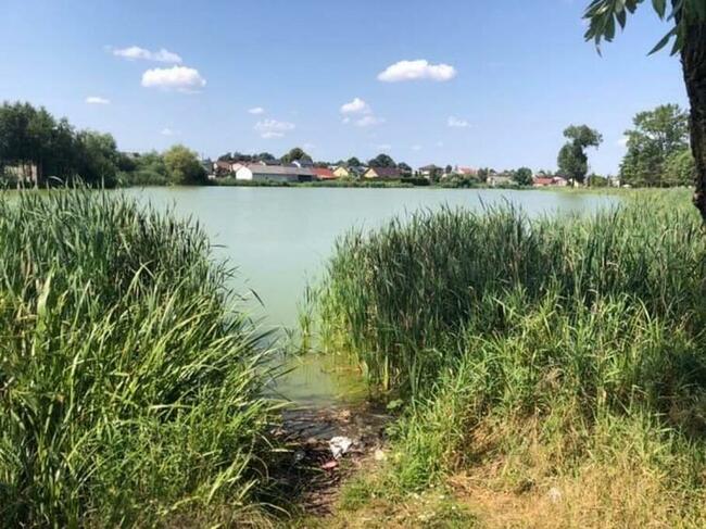 GOSPODARSTWO z dojsciem do stawu 17000 m^2