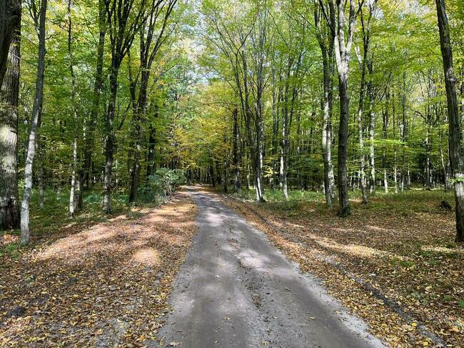 Atrakcyjne działki budowlane pod Lublinem