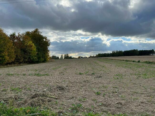 Atrakcyjne działki budowlane pod Lublinem