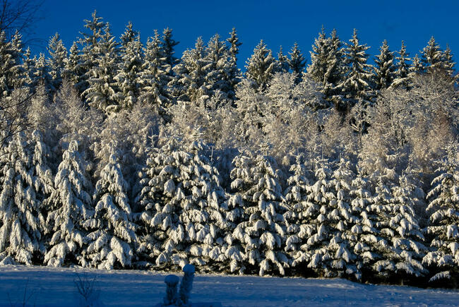 Sylwester/Święta/Ferie Góry Karkonosze/Dom/Jacuzzi/Sauna