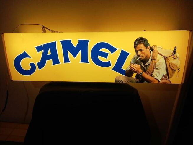 Reklama neon Camel