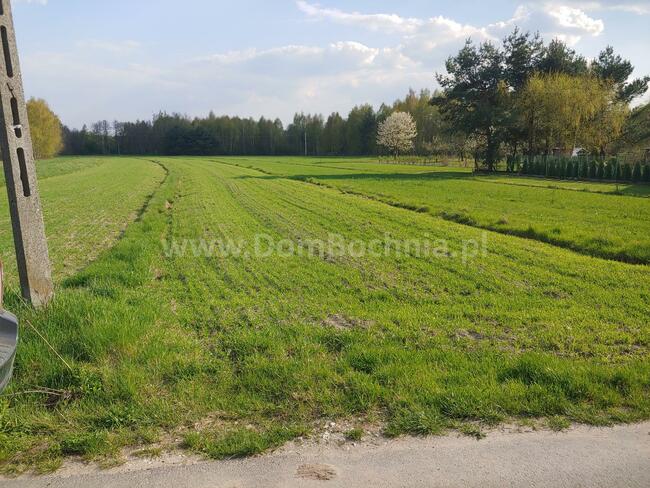 Działka budowlana Dąbrówka gm. Rzezawa