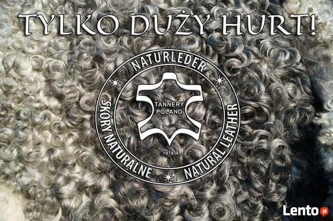 Naturalna skóra owcza Gotland