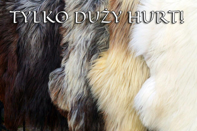 Mix Kolorów Heidschnucke, Rozmiar(XS-XL), Skóra owcza, Dywan