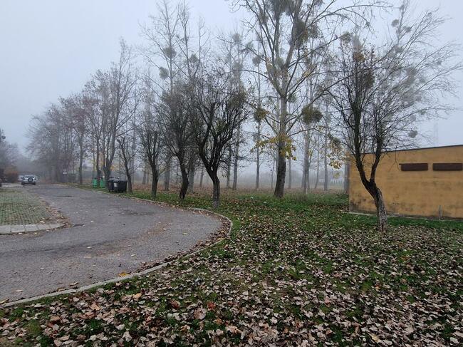 Wynajmę plac pod stoisko gastronomiczne - Konin, Przemysłowa