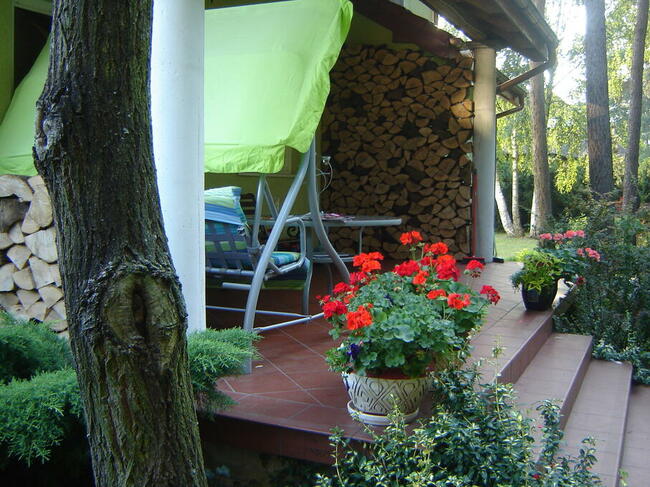 Niepowtarzalny dom na pięknej działce