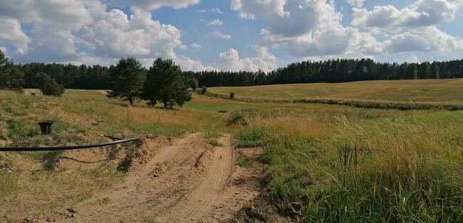 Urokliwa działka nad jeziorem, blisko lasu - Unieszewo