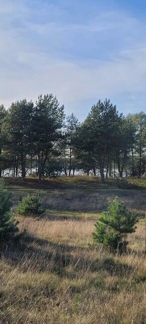 Działka budowlana w Gudowie nad jeziorem Lubie