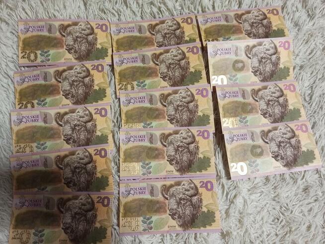 Banknoty kolekcjonerskie Polski Żubr