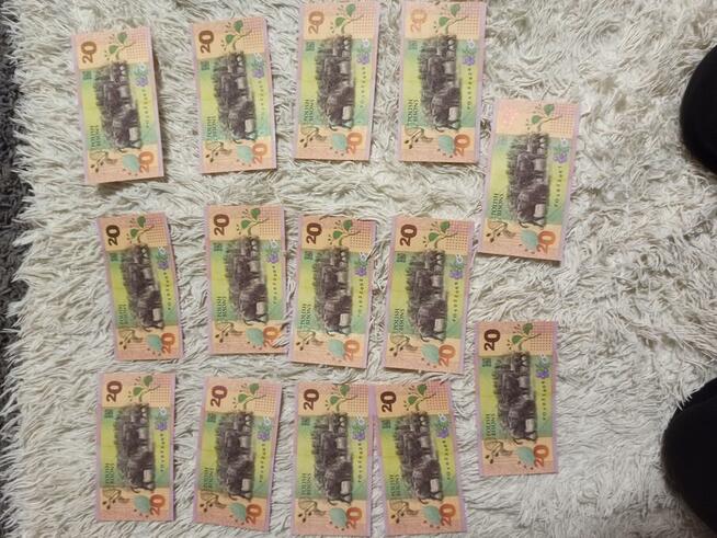 Banknoty kolekcjonerskie Polski Żubr