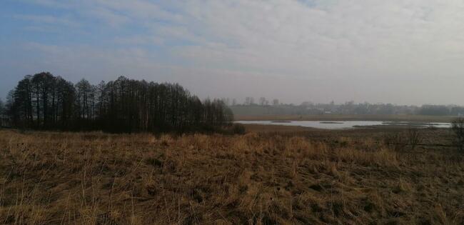 Urokliwa działka nad jeziorem, blisko lasu - Unieszewo