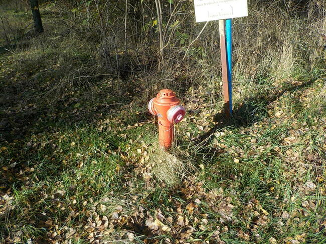 Sprzedam działkę 8 ha z możliwością zabudowy 6 ha to Las