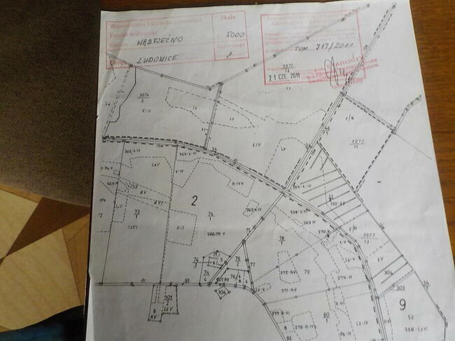 Sprzedam działkę 8 ha z możliwością zabudowy 6 ha to Las