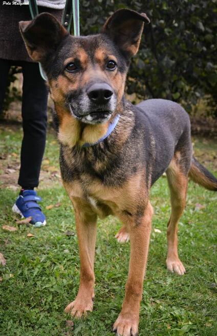 Nano w swoim życiu nie miał łatwo