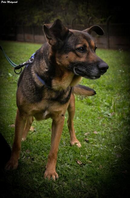 Nano w swoim życiu nie miał łatwo