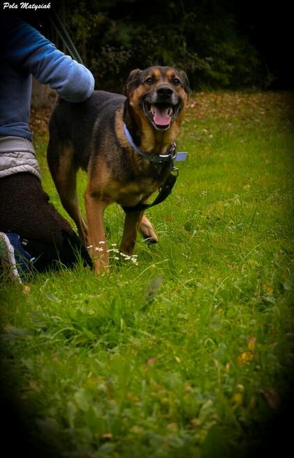 Nano w swoim życiu nie miał łatwo