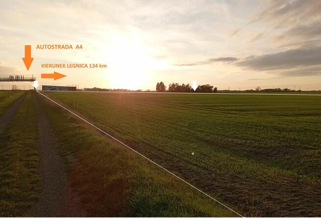 Działka przemysłowa pod halę, farmę słoneczną.