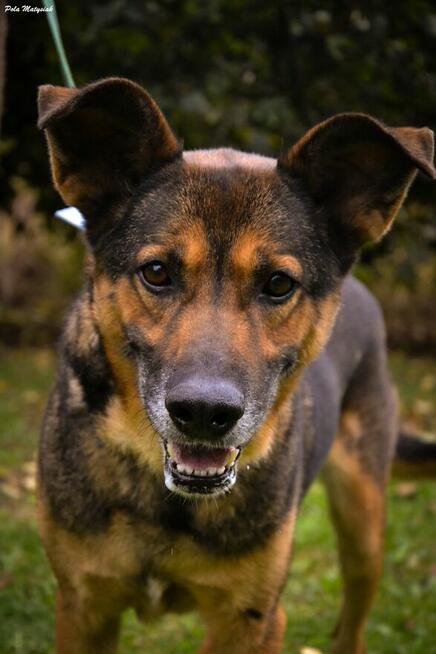 Nano w swoim życiu nie miał łatwo