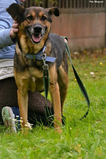 Nano w swoim życiu nie miał łatwo