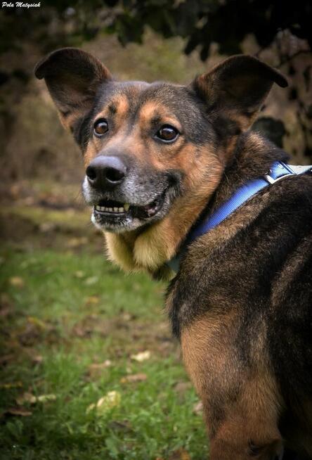 Nano w swoim życiu nie miał łatwo