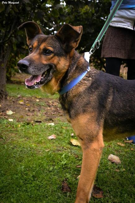 Nano w swoim życiu nie miał łatwo