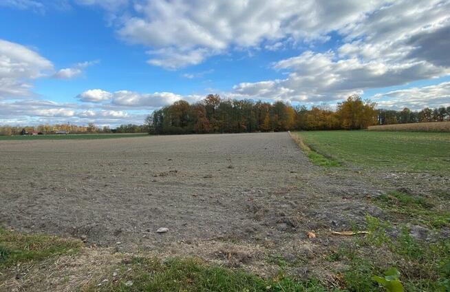 Nietiahy działka budowlana , Gm. Dębowa Kłoda