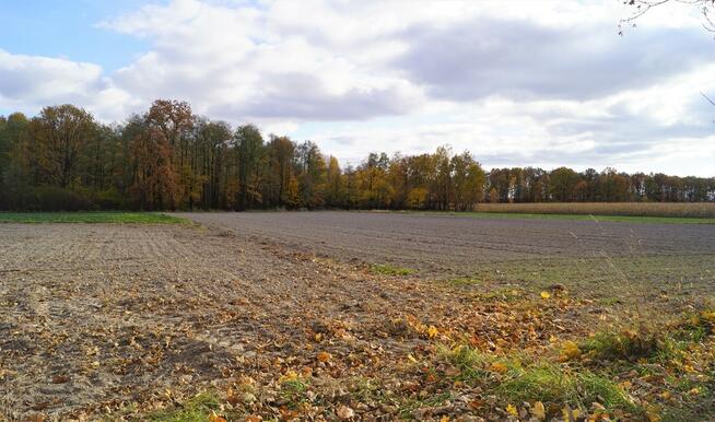 Nietiahy działka budowlana , Gm. Dębowa Kłoda