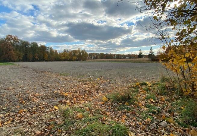 Nietiahy działka budowlana , Gm. Dębowa Kłoda