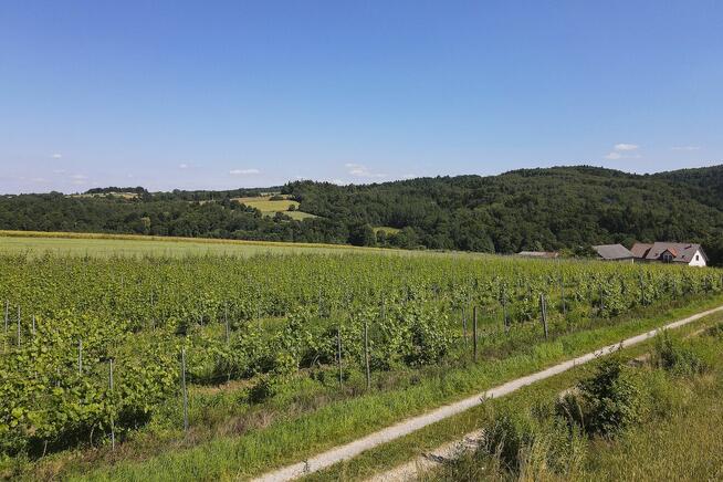 Winnica, nowy dom, duża działka, zyskowny biznes