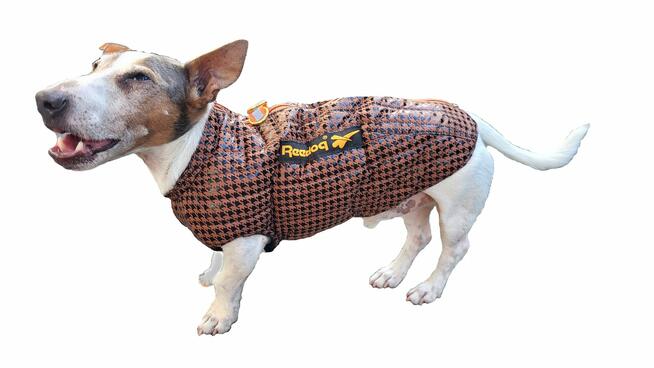 Praktyczne ubranko , kubraczek dla pieska - różne rozmiary