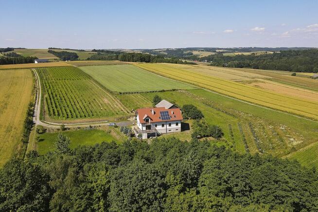 Winnica, nowy dom, duża działka, zyskowny biznes