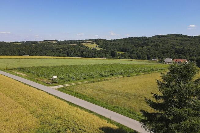 Winnica, nowy dom, duża działka, zyskowny biznes