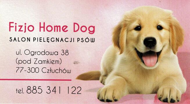 Fizjo Home Dog - Salon Pielęgnacji Psów